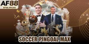 Soccer Pingoal Max