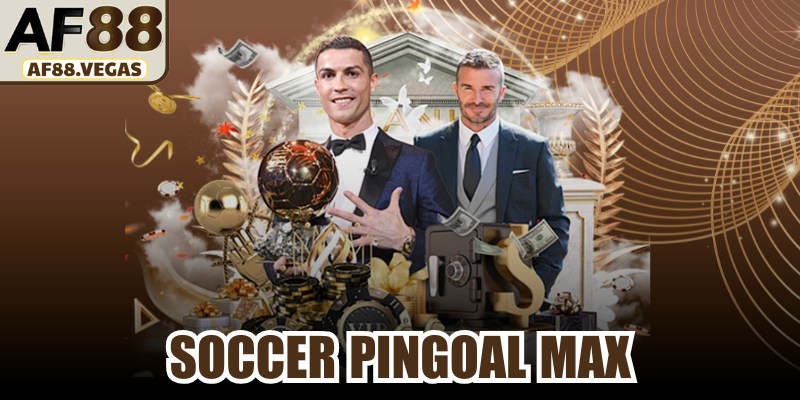 Soccer Pingoal Max